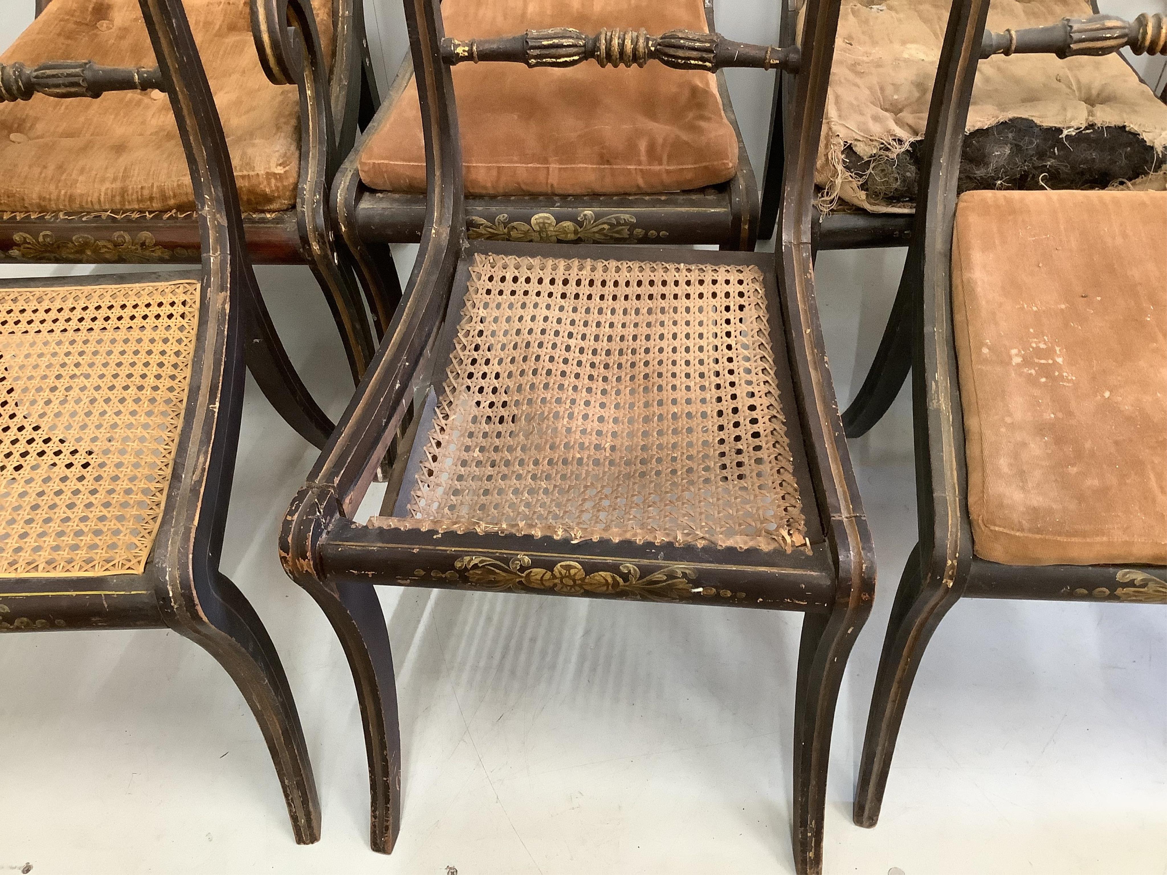 A set of eight Regency painted cane seat dining chairs, two with arms (in need of restoration)